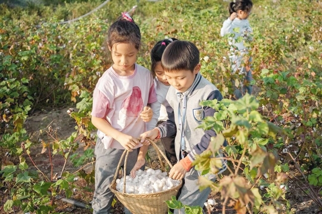 西浦附校学生全程参与感受非遗魅力