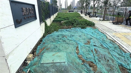 200平方米“夹心绿地”大变样