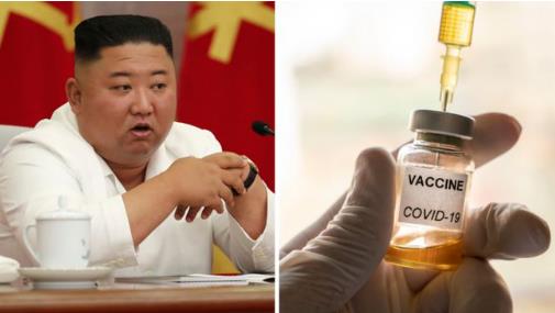美智库专家:金正恩已接种中国疫苗  究竟是怎么一回事？【图】