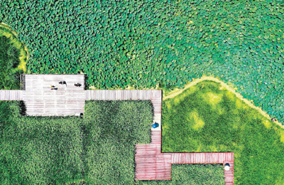 绿树浓荫让京城生态更美