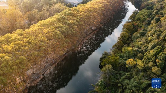 贵阳：黄金大道秋景美