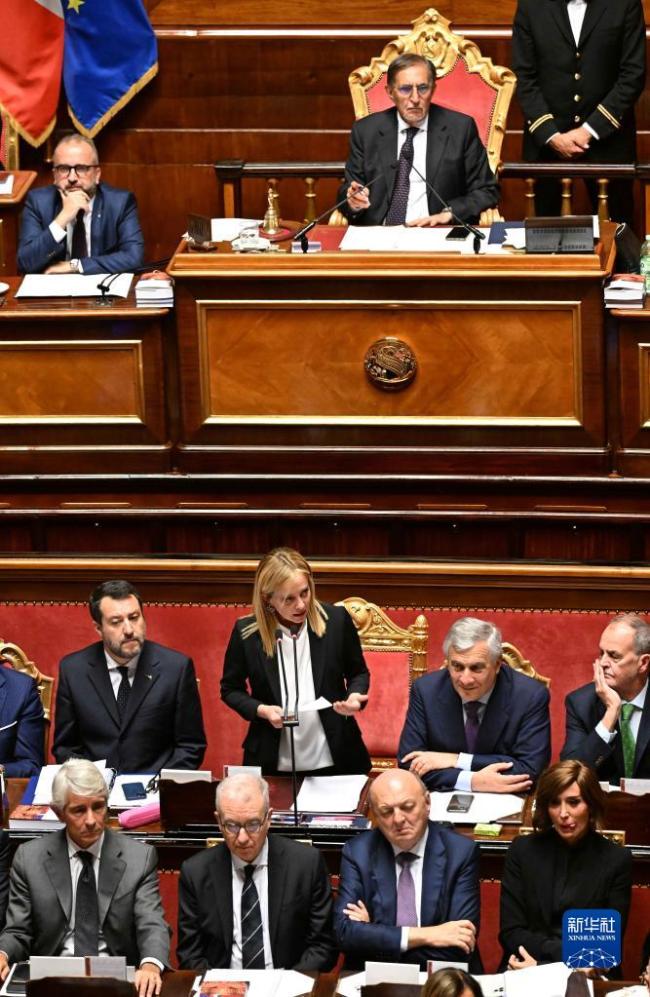 意大利新政府赢得参议院信任投票