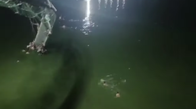 印度百年吊桥瞬间断裂：500人坠河91人遇难