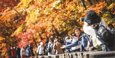 “森林城市”见证好生态