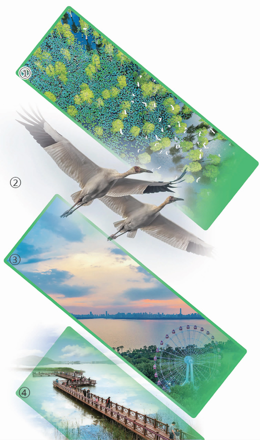 诗意栖居的生态家园