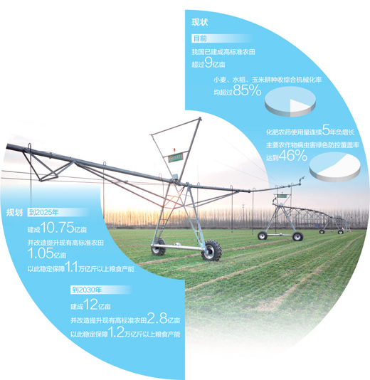 藏粮于地，高标准农田这样建成（一线调研）