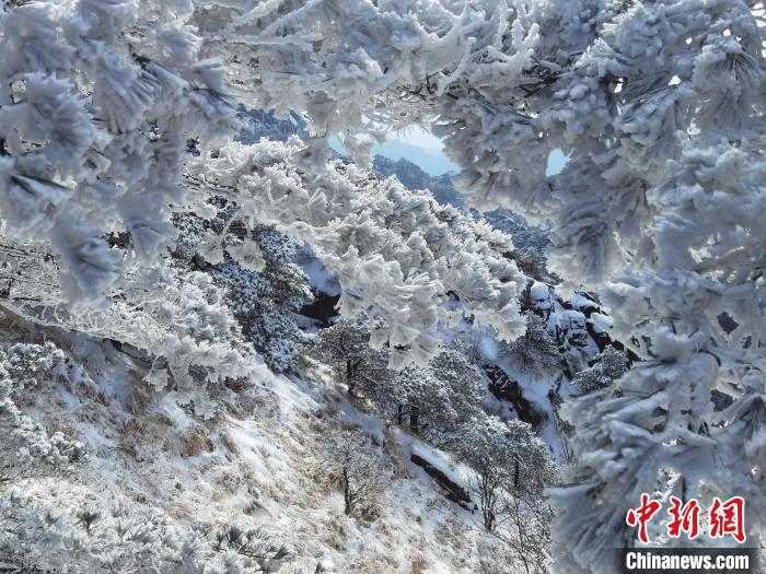 安徽黄山再迎降雪，景色宛如仙境