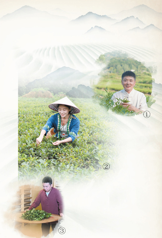 传承制茶技艺的年轻人（青春派）