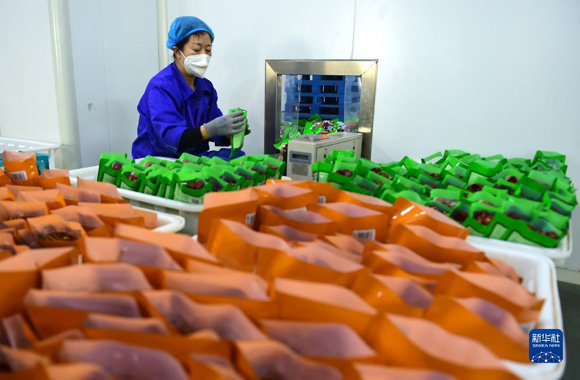 加紧生产供应节日市场