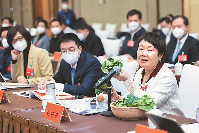 代表团继续审议省政府工作报告