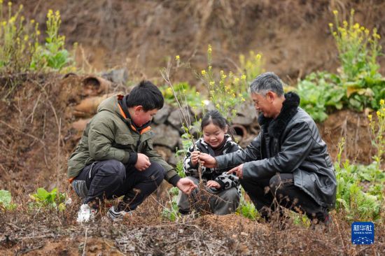 贵州：义务植树为大地添绿