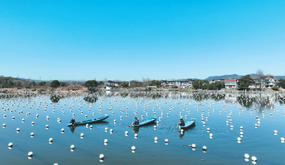 水上“春耕”忙