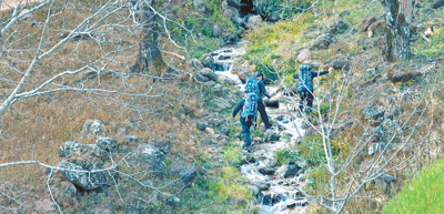 跋山涉水，守护在哀牢山间（新时代·面孔）