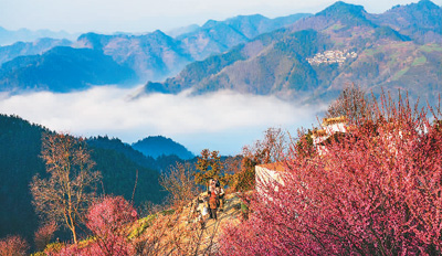 云海美景