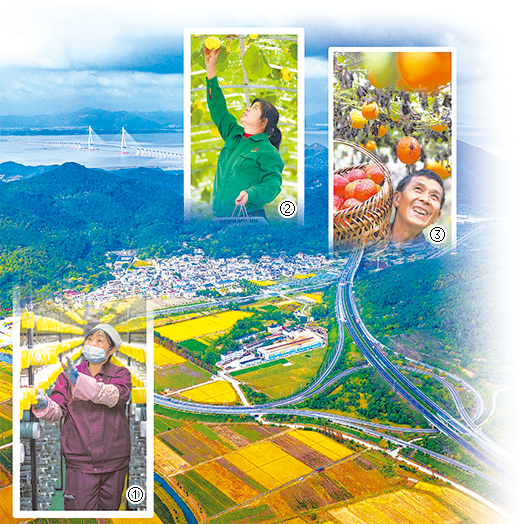 做大“蛋糕”，居民收入节节高（民生共话）
