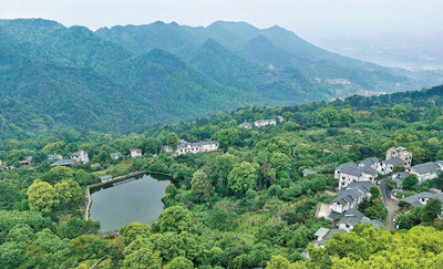 种植盆景业兴人和（寻找最美乡村·双龙村）