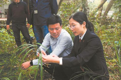 第八个“全民国家安全教育日”系列报道之生态安全