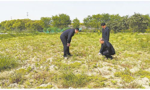 第八个“全民国家安全教育日”系列报道之粮食安全