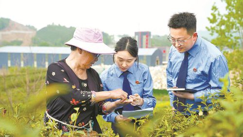 履行检察职能保护地理标志